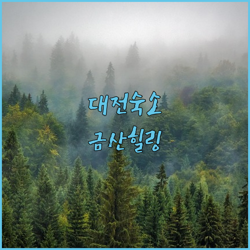 대전 여행 숙소 추천 리스트와 금산 숲세권 힐링 숙소 사진 정보