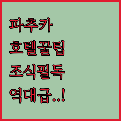 이달고 파추카 인기 호텔 후기 및 조식 부대시설 상세 정보