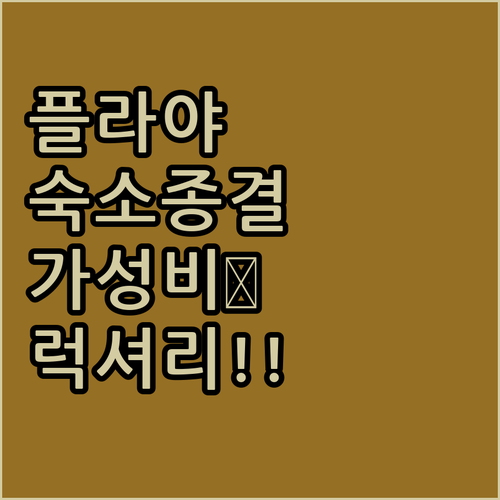 플라야 델 카르멘 가성비 호텔부터 럭셔리 숙소까지 장단점 특징 정리