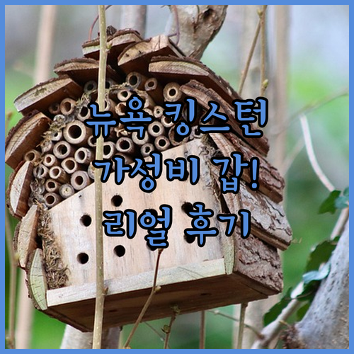 뉴욕 킹스턴 호텔 추천 가성비 좋은 숙소와 투숙객 실제 후기 분석